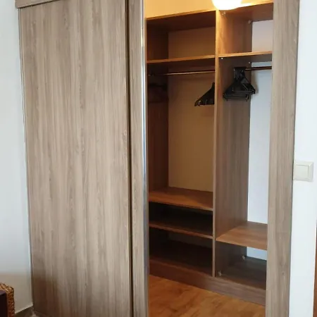 Olive No 3 * フェティエ